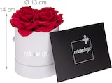 thumbnail of Relaxdays Rosenbox rund, 4 Rosen, stabile Flowerbox weiß, lange Haltbarkeit, Geschenkidee, dekorative Blumenbox, rot