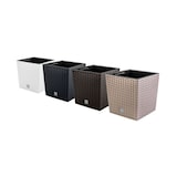 thumbnail of Prosperplast - Pflanztopf Rato 4 Liter mit Pflanzbecher in Anthrazit, 17 x 17 x 17 cm