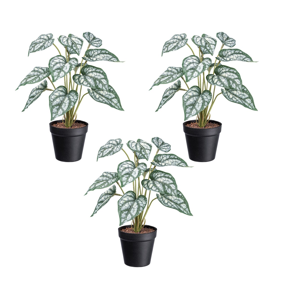 CREATIV green Künstliche Pflanze Syngonium 38cm im Topf