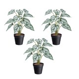thumbnail of CREATIV green Künstliche Pflanze Syngonium 38cm im Topf