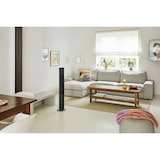 thumbnail of Turmventilator Peter Schwarz DC mit Fernbedienung Schwarz