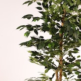 thumbnail of Albero artificiale ficus benjamina 180 cm | Naturing Monde - Interno - Tronco d'albero naturale