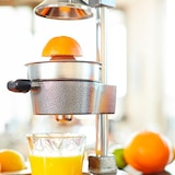 thumbnail of Lumaland Edelstahl Saftpresse - manuelle Handpresse mit Standfuß & Hebel - Silber