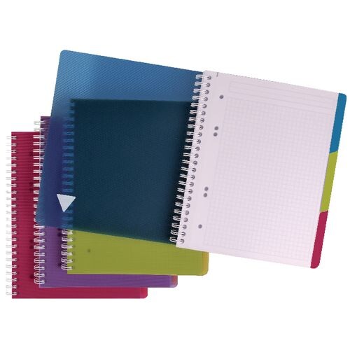 Lot de 5 Cahier Linicolor Intensive Evolutiv'book A4+, 240p./120 feuilles détachables 90 g/m² reliure intégrale, couv. polypro assortis, quadrillé 5x5