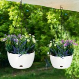 thumbnail of Relaxdays Blumenampel mit Wasserspeicher, 2er Set, HxD 60 x 24 cm, außen & innen, hängender Blumentopf, Kunststoff, weiß