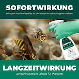 thumbnail of Wespenspray: 12 x 500 ml