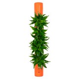 thumbnail of bigTube - orange - 65x7,5 cm
