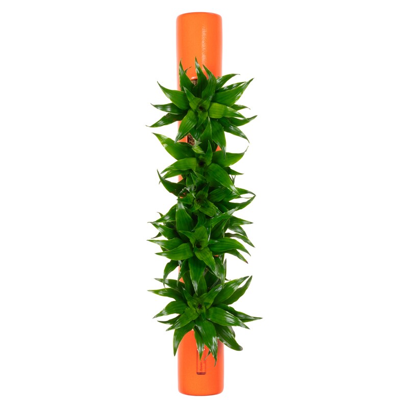mobile_image