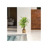 thumbnail of Dracena Artificial (120 cm)