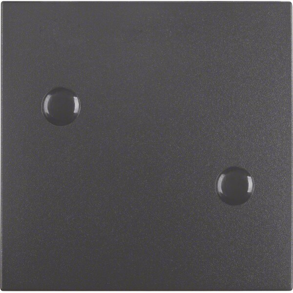 Berker Wippe anschraubbar 15701606