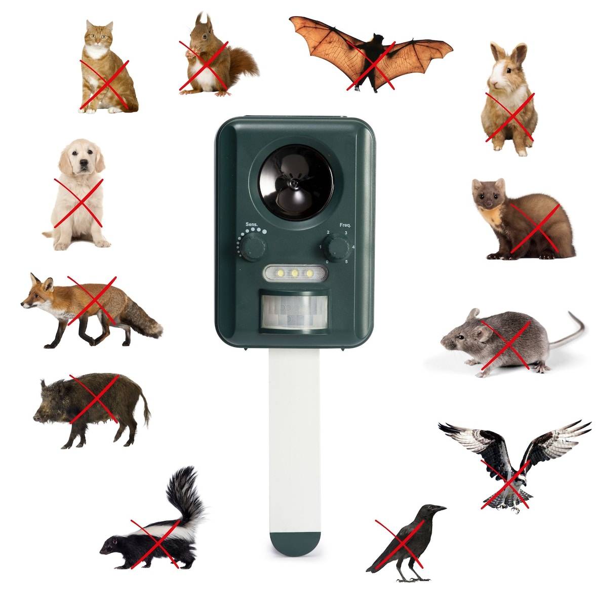 Perel Solarbetriebener Ultraschall-Tiervertreiber, Schädlingsabwehr für Garten & Hof, IP44 wasserdicht, umweltfreundlich, Reichweite bis 65 m²