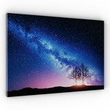 thumbnail of ALLboards Tableau magnétique pour aimants METALboards, voie lactée et arbre 60×40 cm + ensemble d’accessoires