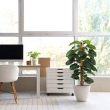 thumbnail of Planta artificial EPIPREMNUM Verde hjh OFFICE