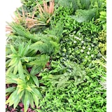 thumbnail of VERT ESPACE plante artificielle mur plaque H 100*100 cm
