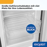 thumbnail of Exquisit Kühl-Gefrier-Kombination, Kühlschrank mit Gefrierfach, 260 Liter, Wasserspender, Alarm-Funktion, KGC5265-70-WS-040D inoxlook-az
