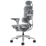 thumbnail of Ergonomischer Bürostuhl / Bürodrehstuhl mit Kopfstütze und Lendenwirbelstütze Business Chair, grau (1 Stück)