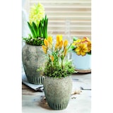 thumbnail of B & S Blumenkübel Gartendeko Keramik Vase Amphore Antik Shabby Steinoptik H 23 cm Rund