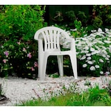 thumbnail of Solycarpa Silla para exterior de Plástico blanca con Reposabrazos. Apilable y Resistente