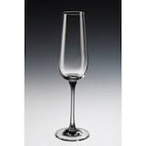 thumbnail of Villeroy & Boch Purismo Specials Champagnerglas 120 ml 4er Set