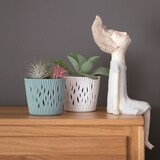 thumbnail of WellHome - Set 3 Maceteros 3L Sandy Round Ø18,9 cm/u Color Antracita