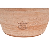 thumbnail of Biscottini Portaombrelli tondo - Portaombrelli in terracotta Made in Italy - Portaombrelli da esterno e interno - Portaombrelli con manici 36x34x46 cm