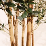 thumbnail of Planta artificial Olivo Rústico 180cm - Naturing Monde - Interior