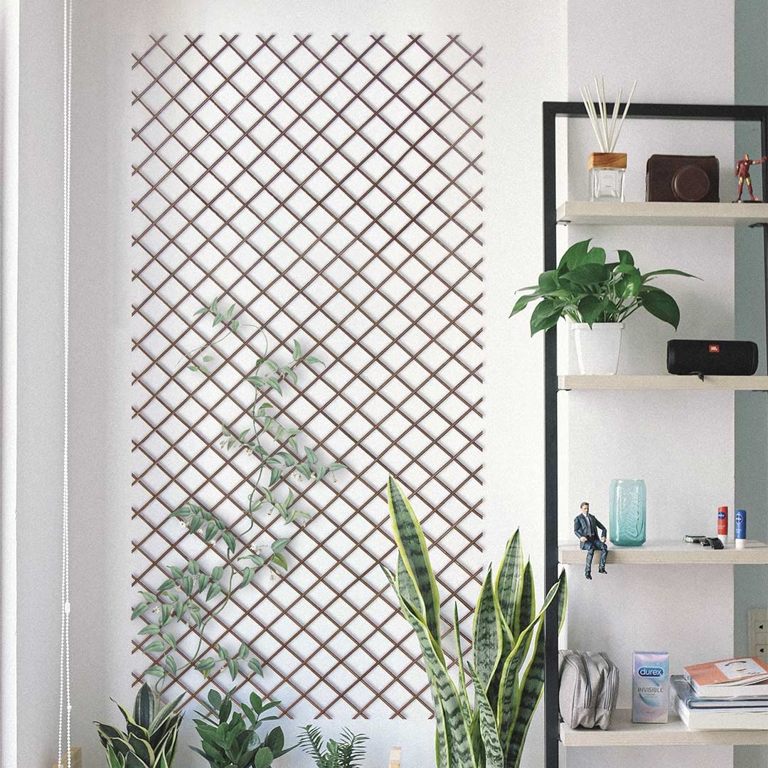 Madeira extensível Trellibambu 0,5x1,5m Bambu