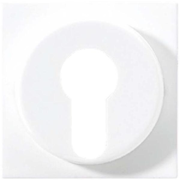 Jung Abdeckung ws A 528 PL A528PL