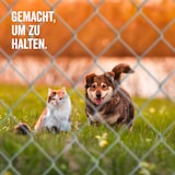thumbnail of Maschendrahtzaun Viereckgeflecht Maschendrahtgeflecht Drahtzaun grün, anthrazit oder verzinkt Höhe 80 - 200 cm, Länge 15 - 25 m