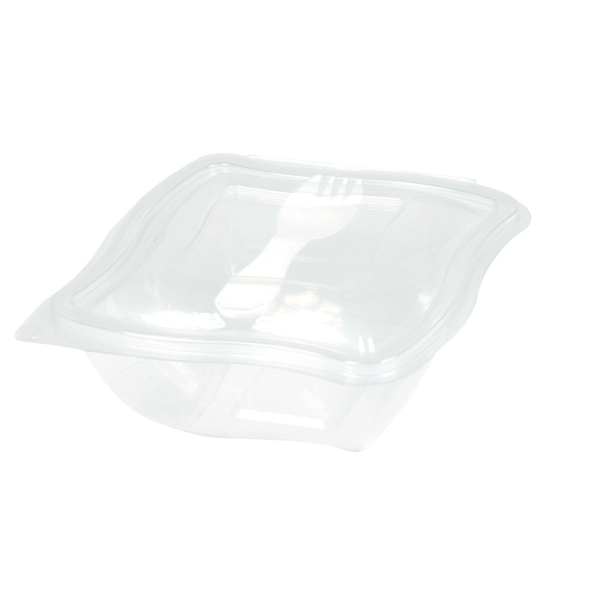 20x Gourmet Box to go mit Gabel/Göffel 500ml PET klar