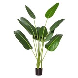 thumbnail of Árbol de Plátano Artificial 160 cm con Maceta y 10 Hojas Realistas Planta Tropical Sintética para Decoración en Interior y Exterior Oficina Hogar
