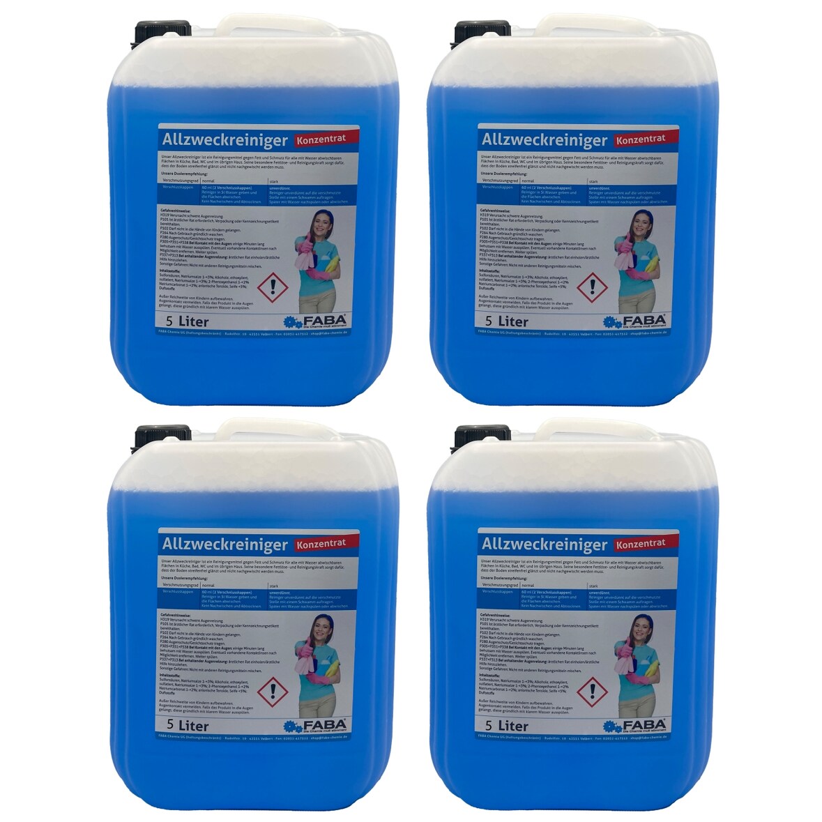 Allzweckreiniger Konzentrat 4 x 5 Liter