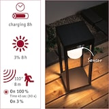 thumbnail of Paulmann Solar LED Lichtobjekt Solar Marisol Bewegungsmelder IP44 3000K 350lm Schwarz 94573