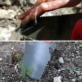 thumbnail of Radius Root Slayer Blumenkelle, Wurzel Schaufel 17011, Pflanzkelle, Gartenschaufel multifunktional aus Kohlenstoffstahl, rot