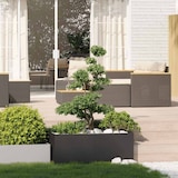 thumbnail of vidaXL Plantenbak 100x100x40 cm staal zwart