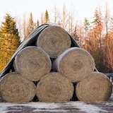 thumbnail of ECD Germany Abdeckplane 8x12 m 96 m² 260 g/m² Grau PE Wasserdicht Reißfest Gewebeplane Schutzplane Gartenplane Auto