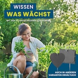 thumbnail of Hoberg Schiefer-Pflanzschilder 10er Set - Gartenschilder für Pflanzen & Kräuter