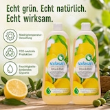 thumbnail of SODASAN Flüssigseife Liquid Citrus-Olive 2 x 1 Liter