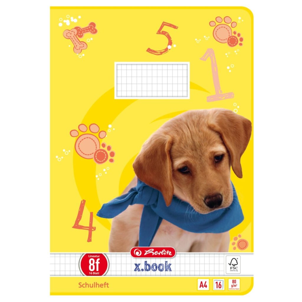 HLZ Schulheft A4 16 Bl Lineatur 8f rautiert 5 x 7 mm