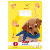 thumbnail of HLZ Schulheft A4 16 Bl Lineatur 8f rautiert 5 x 7 mm