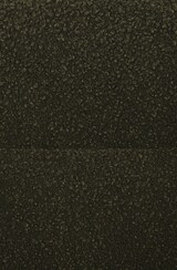 thumbnail of CHEFGASTRO Esszimmerstuhl QUEBEC Stoff Teddy HxBxT 85x58x60cm Stoff Dunkelgrün Küchenstuhl