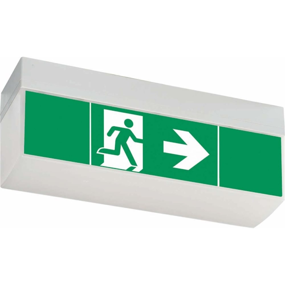 Ceag Notlichtsysteme LED-Einzelbatterie-Leuchte SV EURO4L LED 3h SET 40071354776