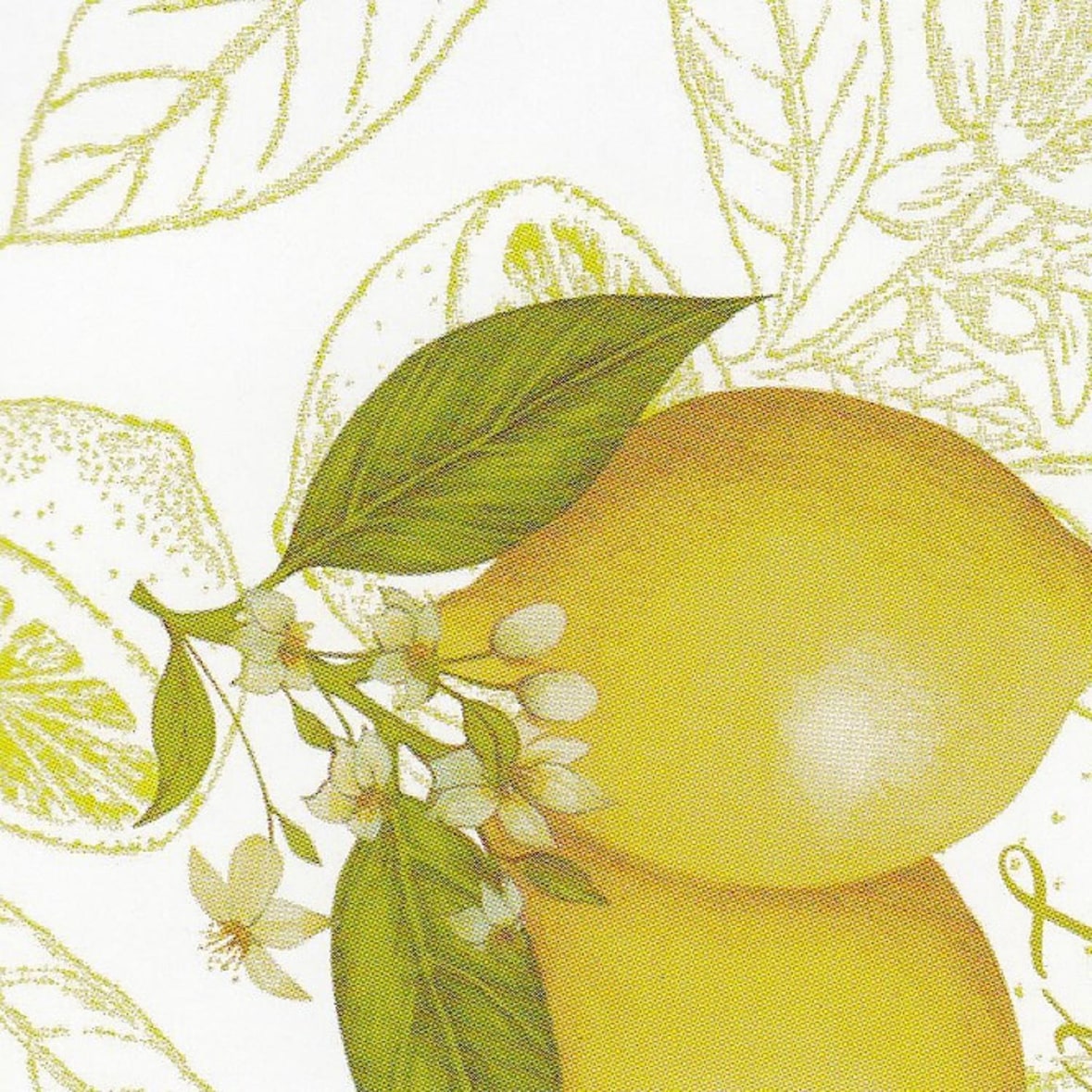 Wachstuch Tischdecke abwischbar Vliesrücken 140 cm breit individuelle Längen ca.140 x 100 cm Design ZITA