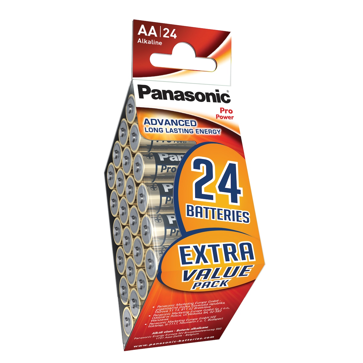 Panasonic 1X24 Pro Power AA