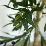 thumbnail of HOMCOM olivo artificial 150 cm planta artificial decorativa grande árbol artificial de interior con 32 aceitunas decoración para hogar oficina verde