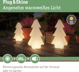 thumbnail of Paulmann Plug & Shine LED Lichtobjekt Tree   IP67 3000K 2W   Weiß 94185