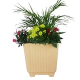 thumbnail of Bac carré episcia double paroi avec réserve d'eau - BEIGE