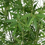 thumbnail of Planta Artificial de Bambú – 100 cm de Altura – Planta Decorativa sin Mantenimiento con Hojas Verdes Realistas – Verde