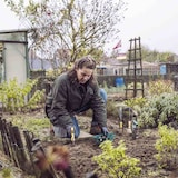 thumbnail of Blumenzwiebel-Pflanzschale 26x28x7cm 3er Set Grün