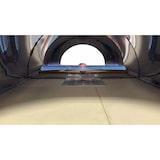 thumbnail of Four professionnel convertible Bois/Gaz